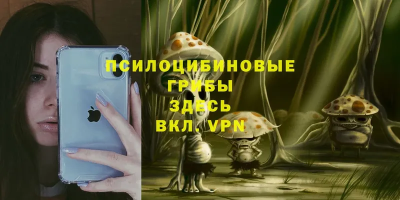 это телеграм  Ефремов  Галлюциногенные грибы Magic Shrooms 